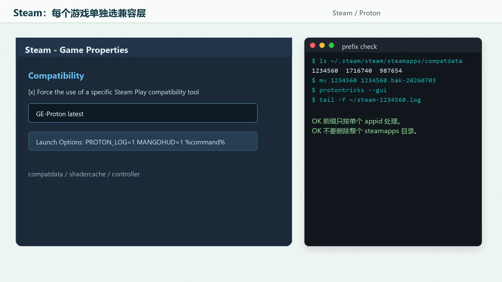 Steam 游戏属性兼容层选择、启动参数和 compatdata 前缀备份截图